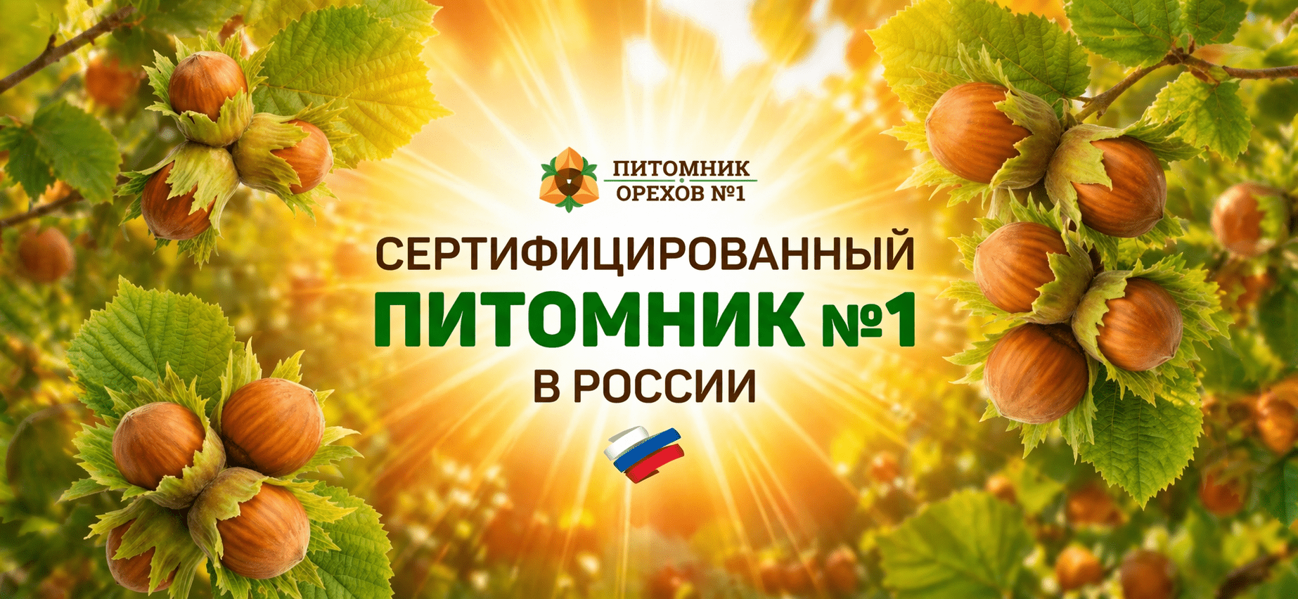 Баннер_2_2